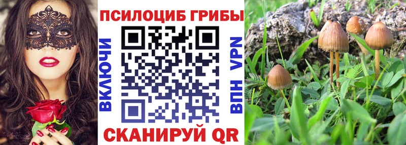 Галлюциногенные грибы мухоморы  Коркино 